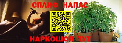 трава Бузулук