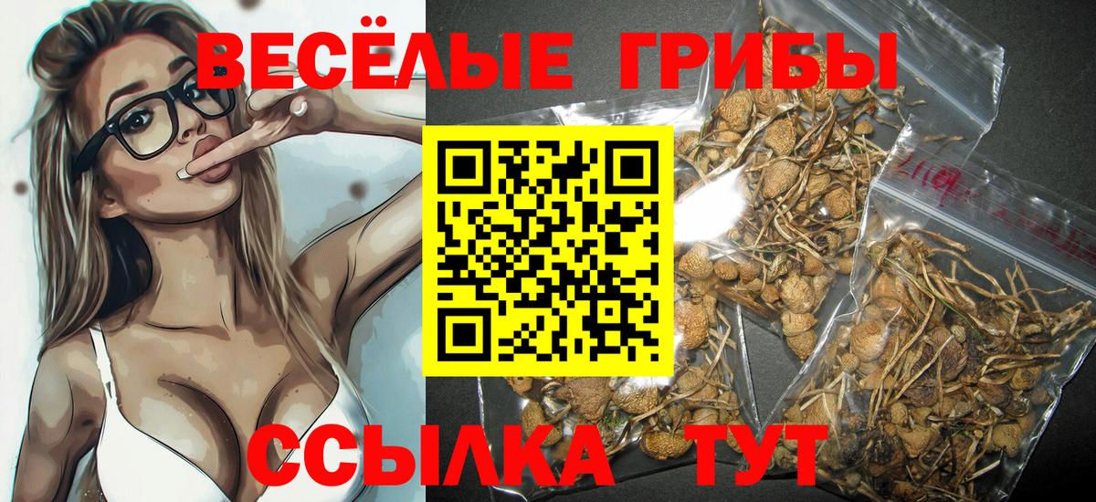 Псилоцибиновые грибы мухоморы Минусинск