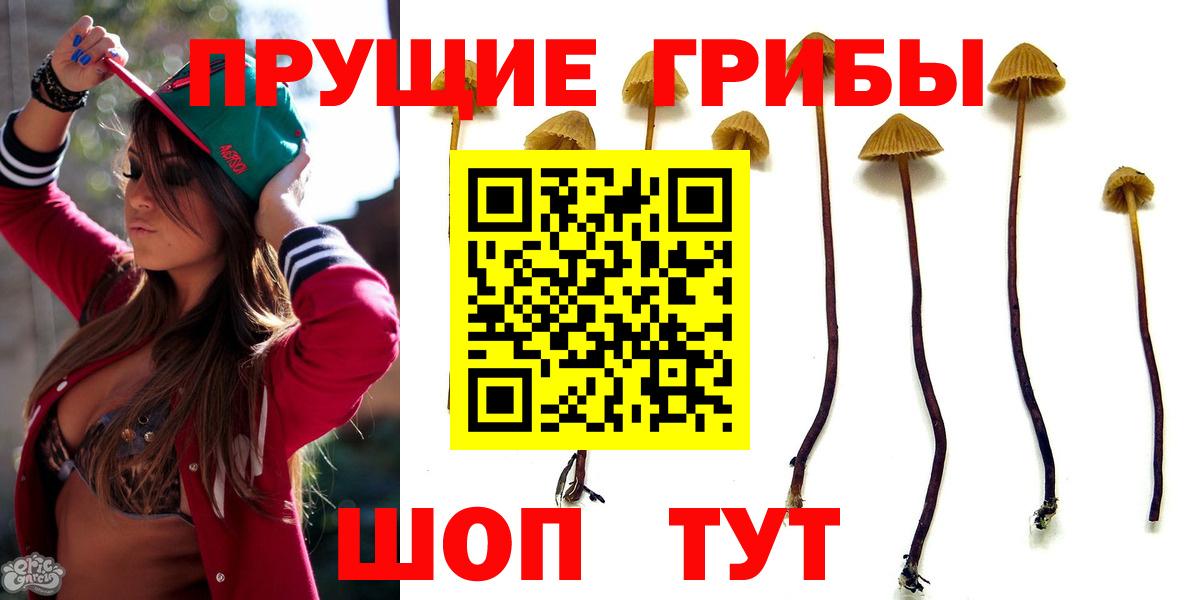 Галлюциногенные грибы ЛСД  Вход с VPN  Галлюциногенные грибы Cubensis  Минусинск 